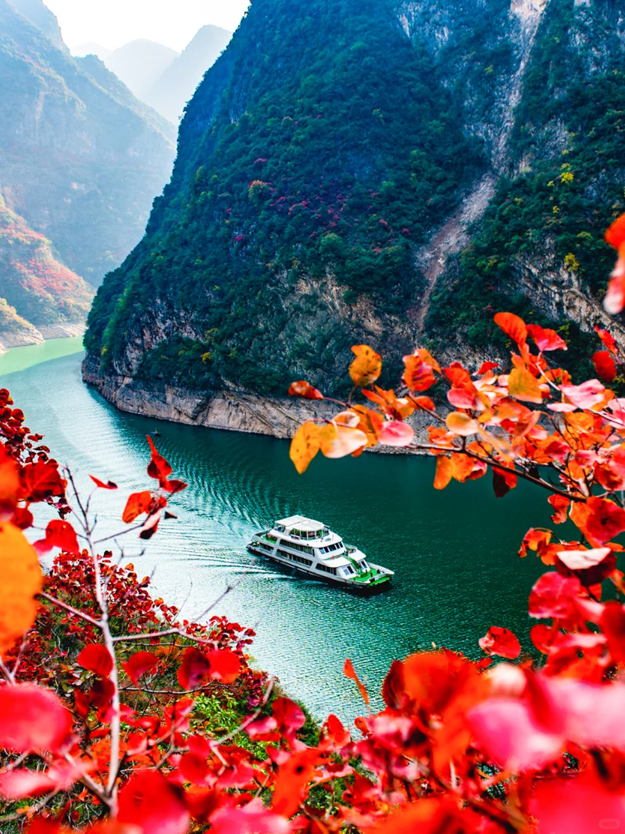 重庆！每月最佳景点，小众+经典全涵盖✨