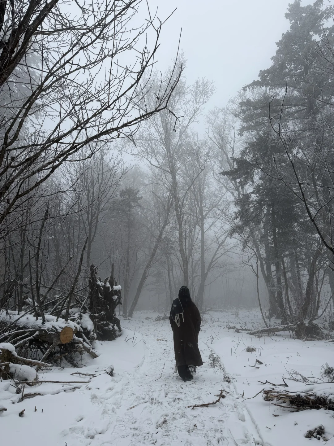 玩到舍不得离开的长白山之旅