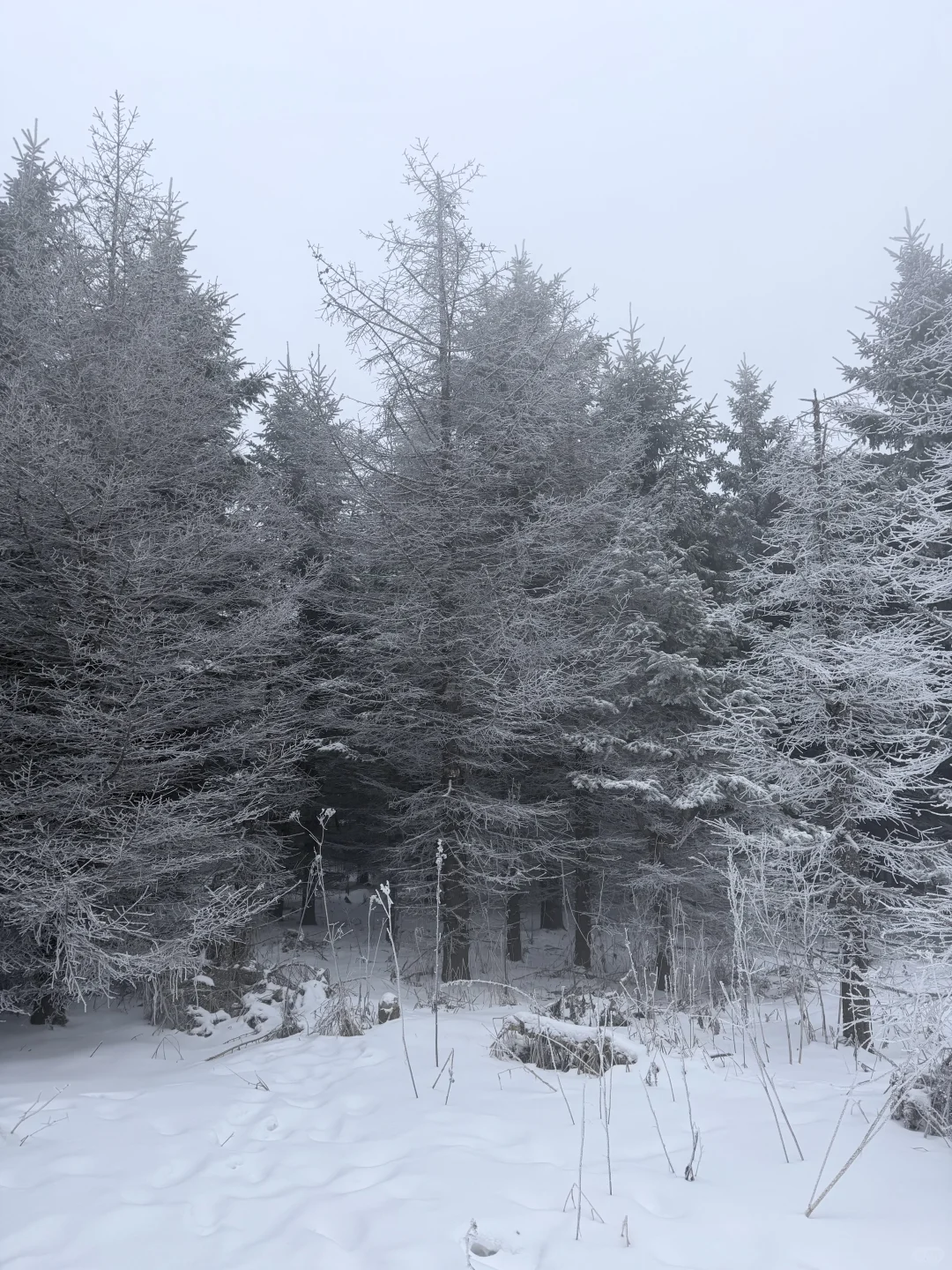 玩到舍不得离开的长白山之旅