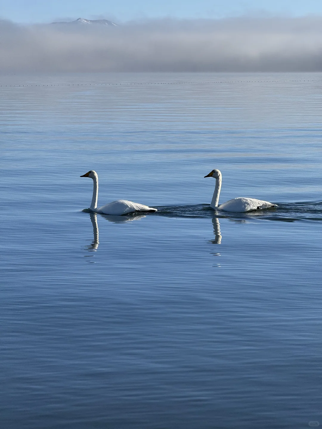 深圳打工人周末去赛里木湖+库尔德宁+八卦城