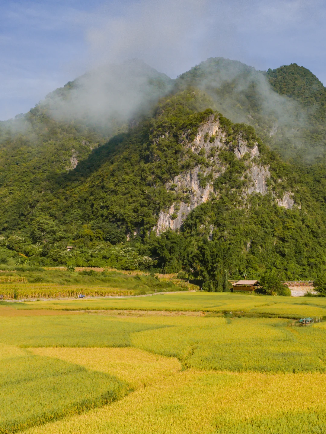 🌸坝美9大必玩点‼️火速收藏!