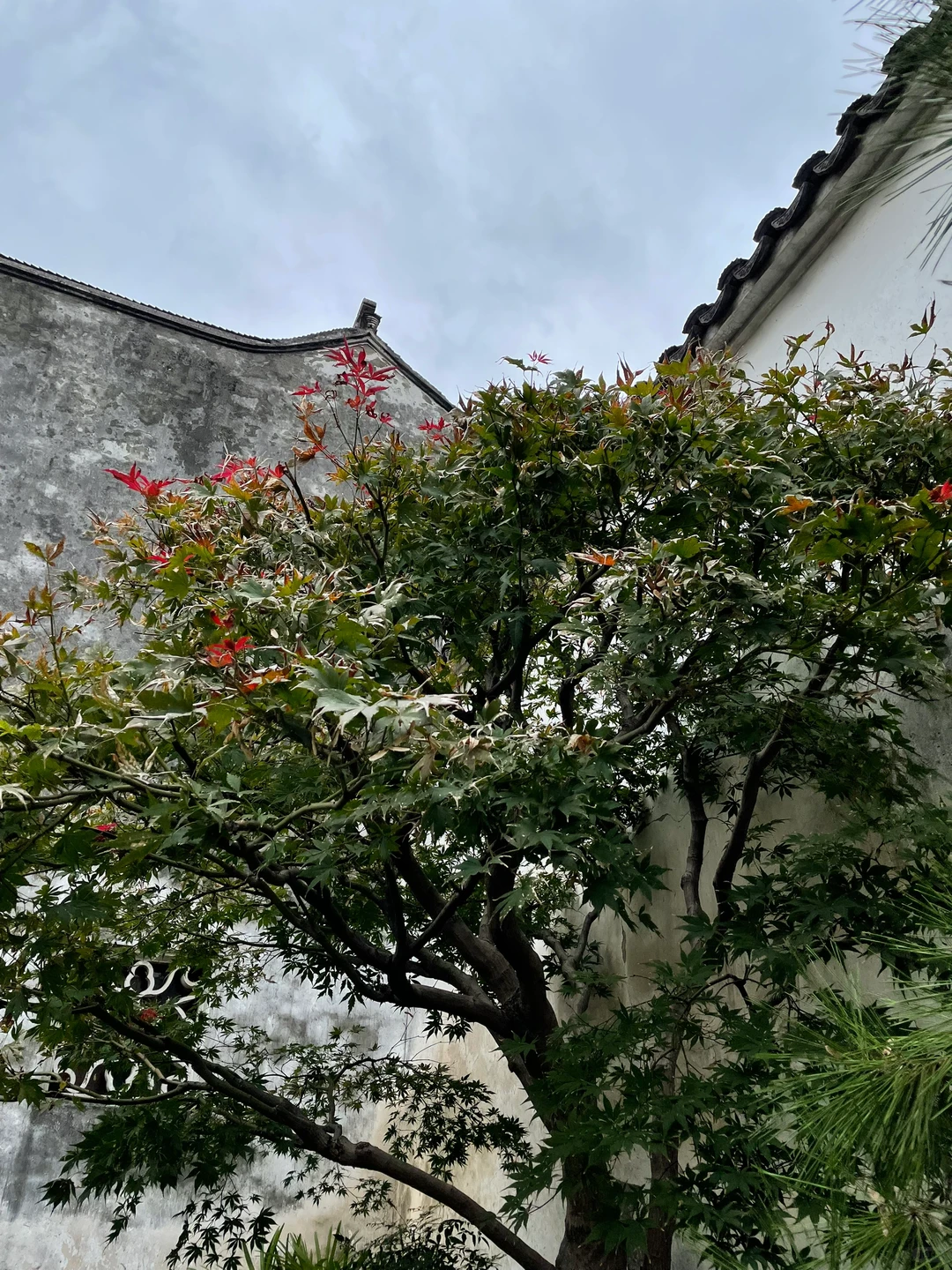 目前为止最喜欢的四个旅行城市