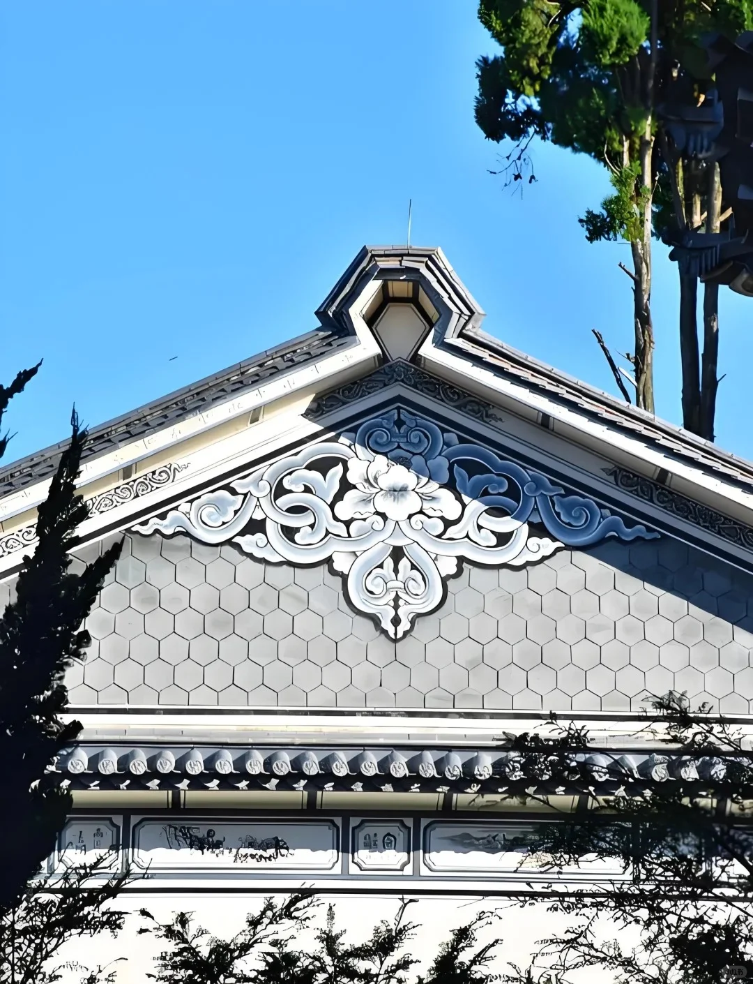 大理38元玩法攻略｜本地人看了都夸我会玩