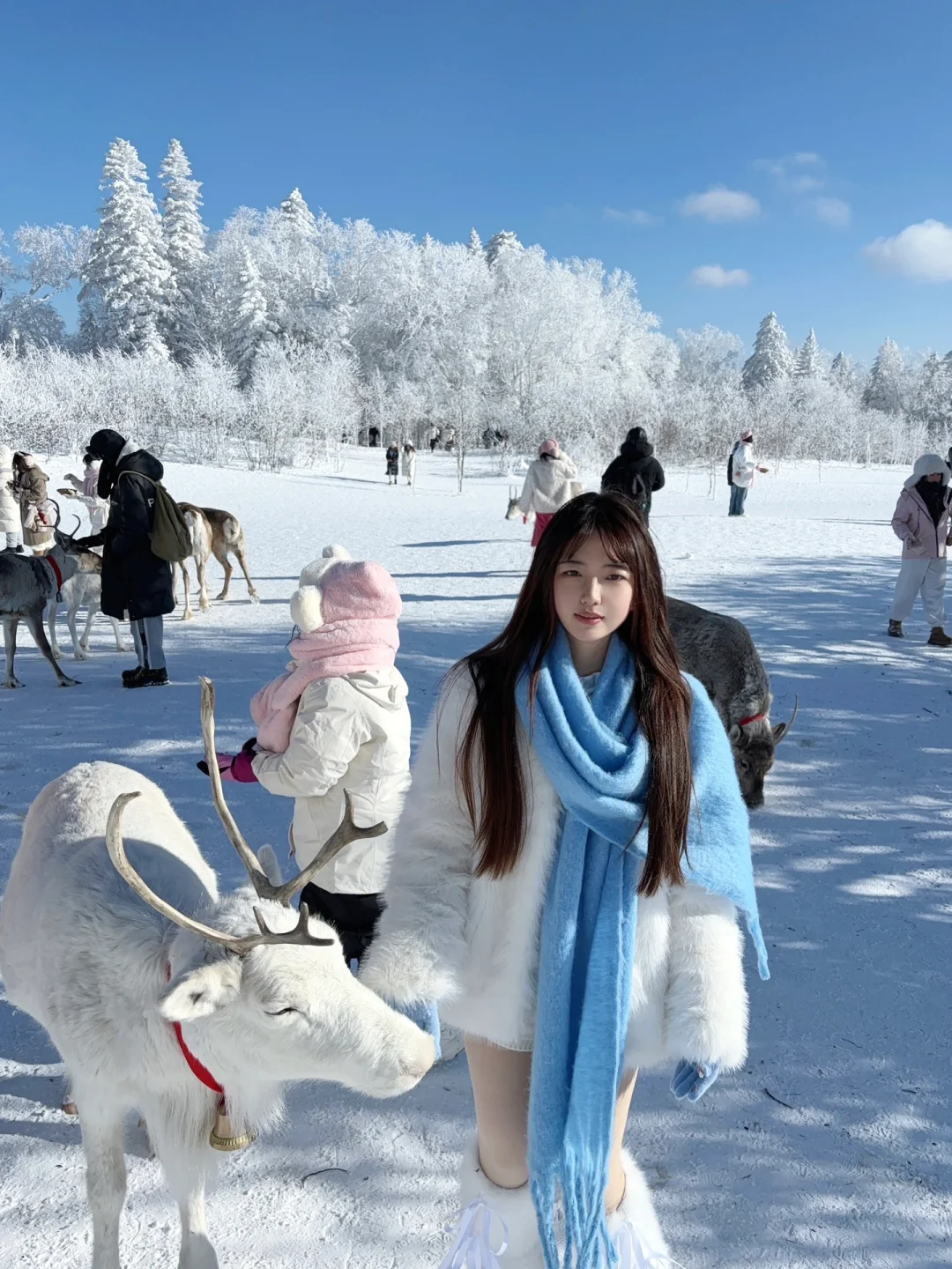 2.9📍雪岭驯鹿园 美晕❄️