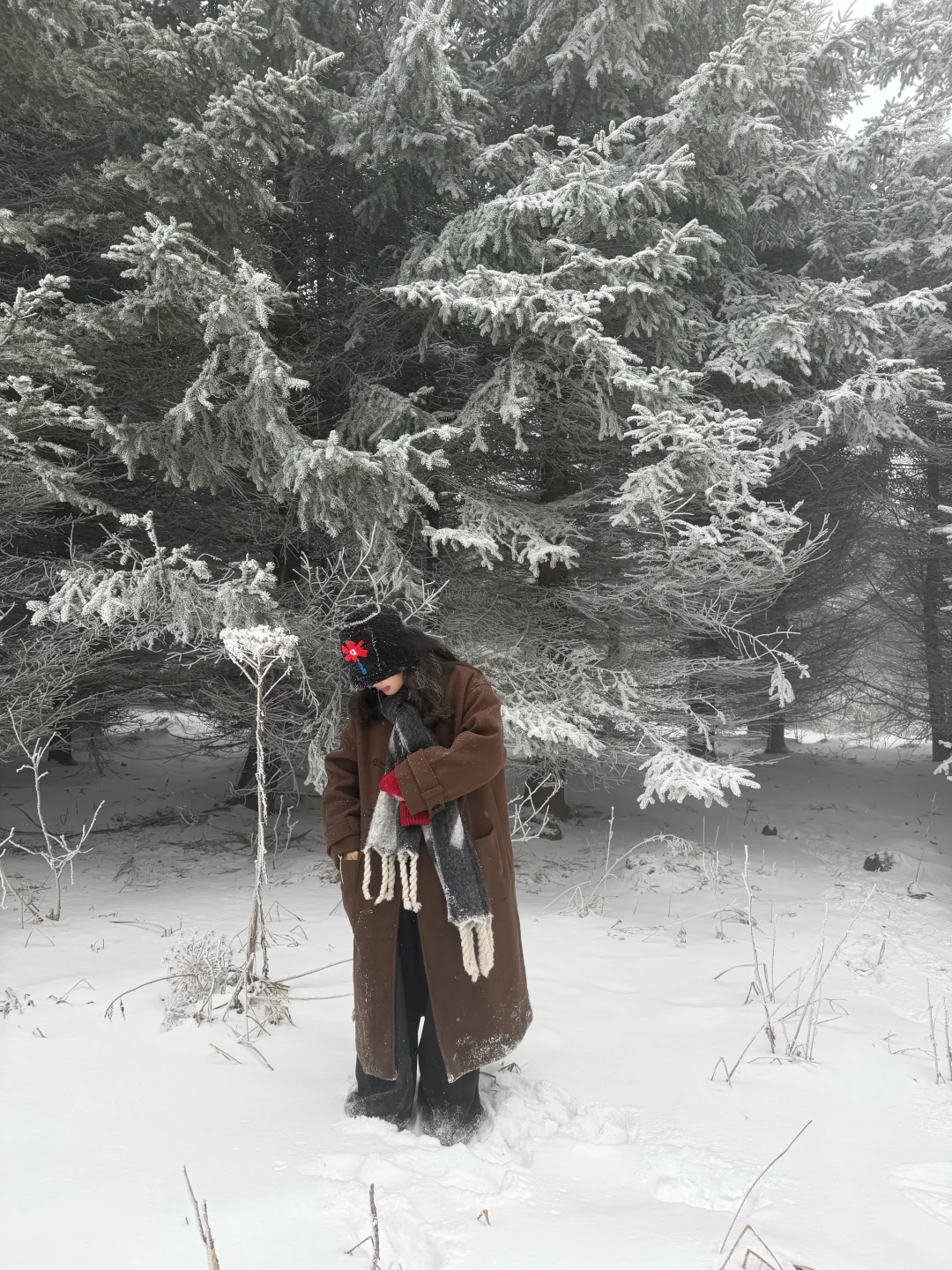 玩到舍不得离开的长白山之旅