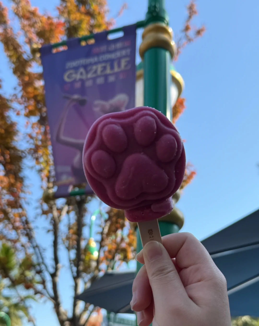 2025.11.27上迪已回,带衣服真的要慎重啊!