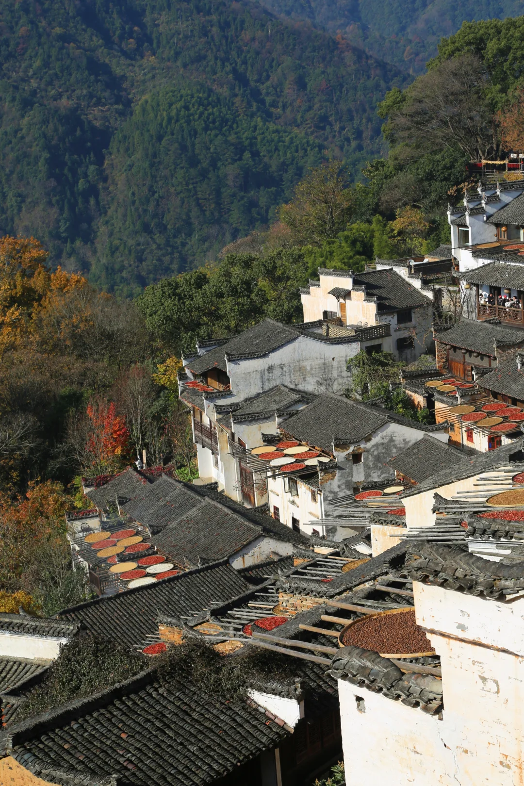 听劝！本地人强推12月来婺源篁岭！