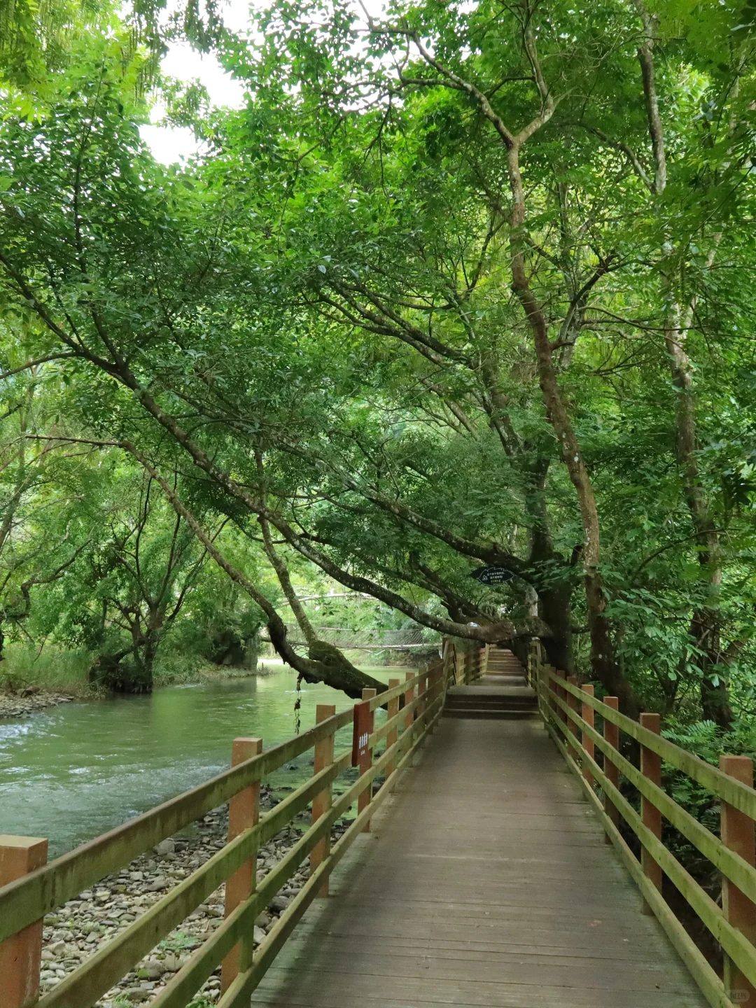 🌸坝美9大必玩点‼️火速收藏!