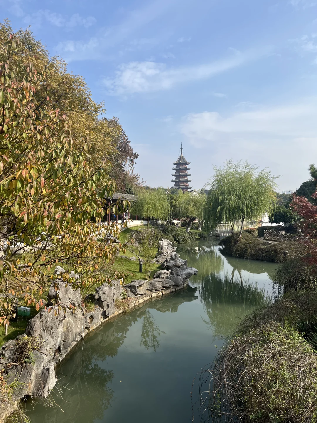 盘门的银杏黄了