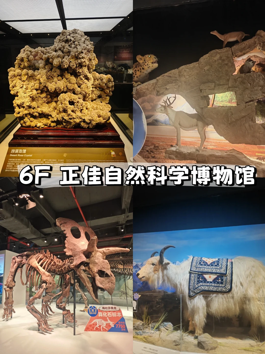 4A景区遛娃‼️广州正佳广场超全攻略