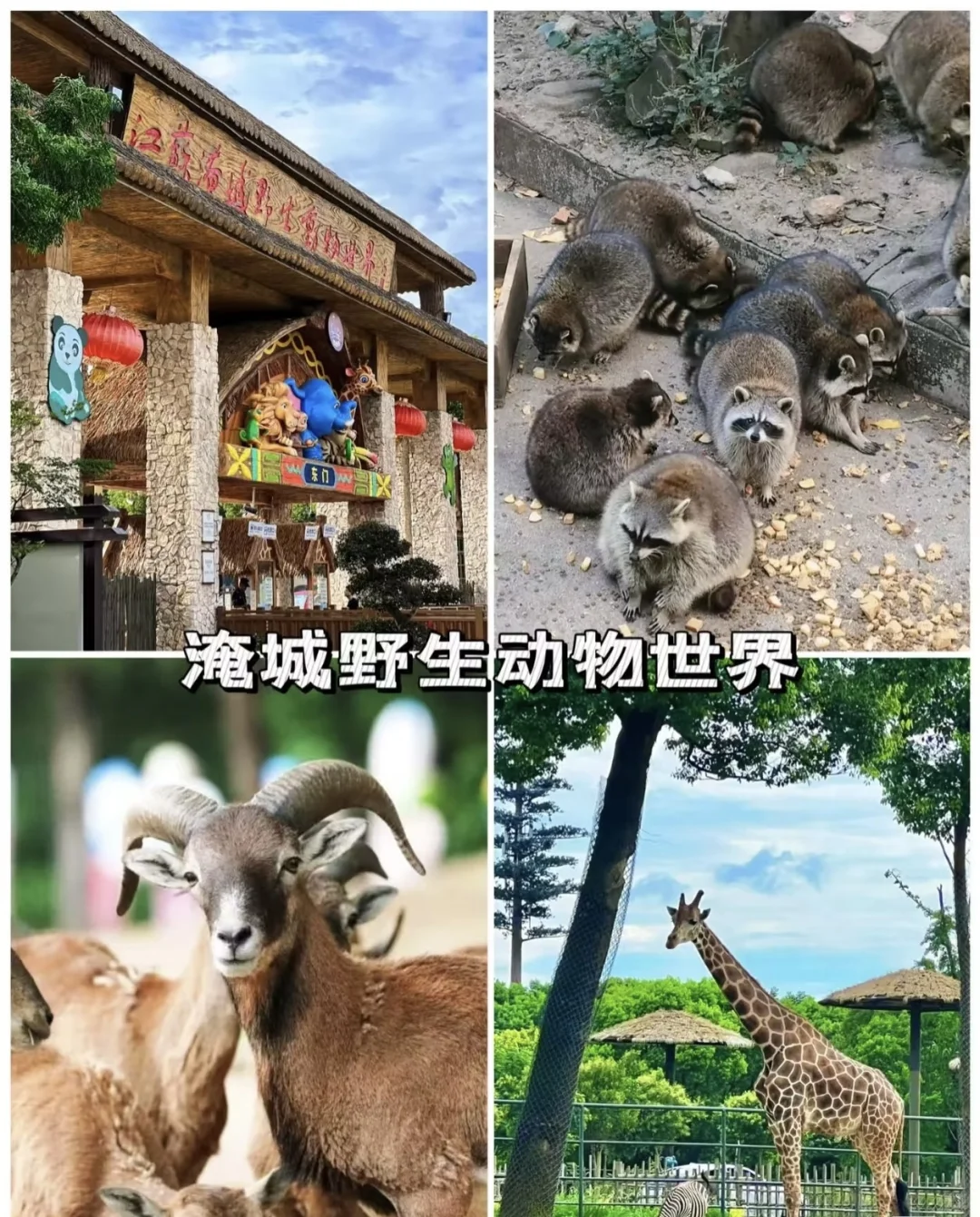 常州必打卡的八大景点