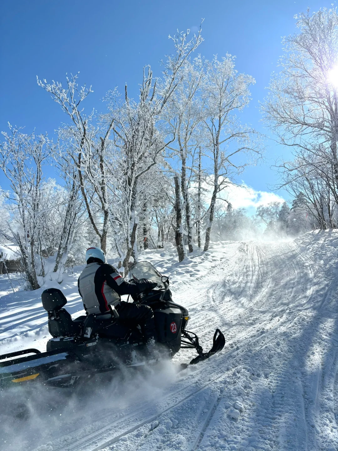 2.9📍雪岭驯鹿园 美晕❄️