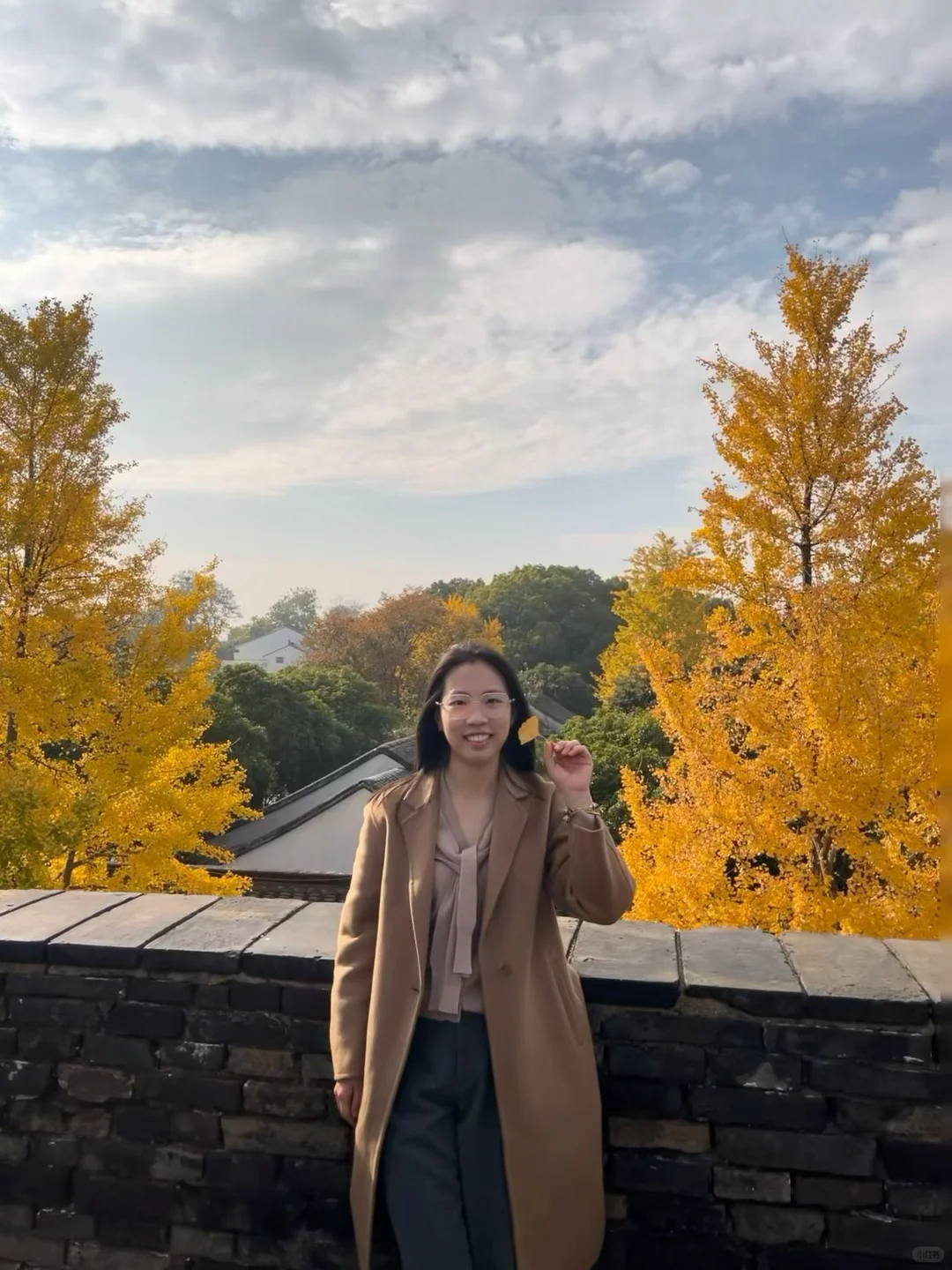 盘门的银杏黄了