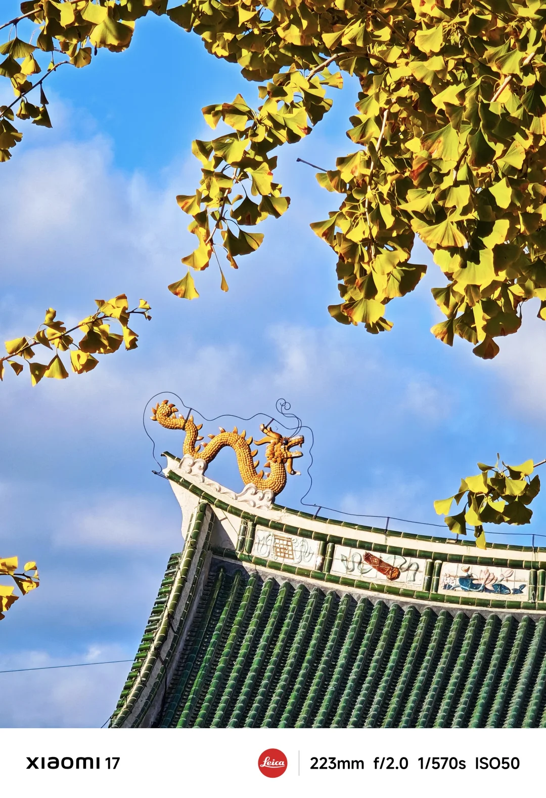 反向旅游太爽了！严重被低估的北方海滨城市