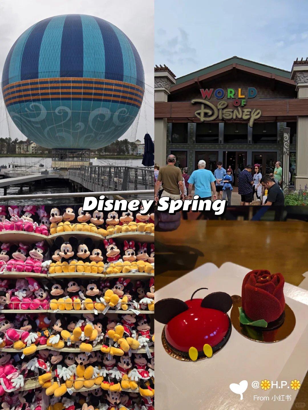 🇸🇬14天勇闯美国两大迪士尼+环球影城