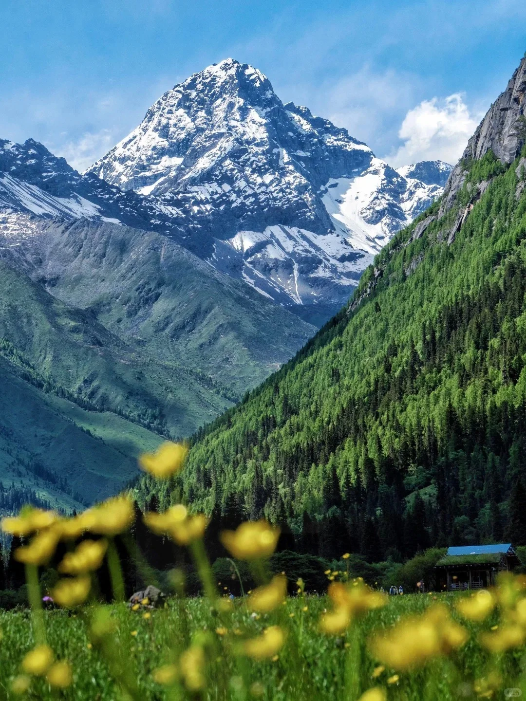 别抢氧气瓶！8月四姑娘山保命攻略”