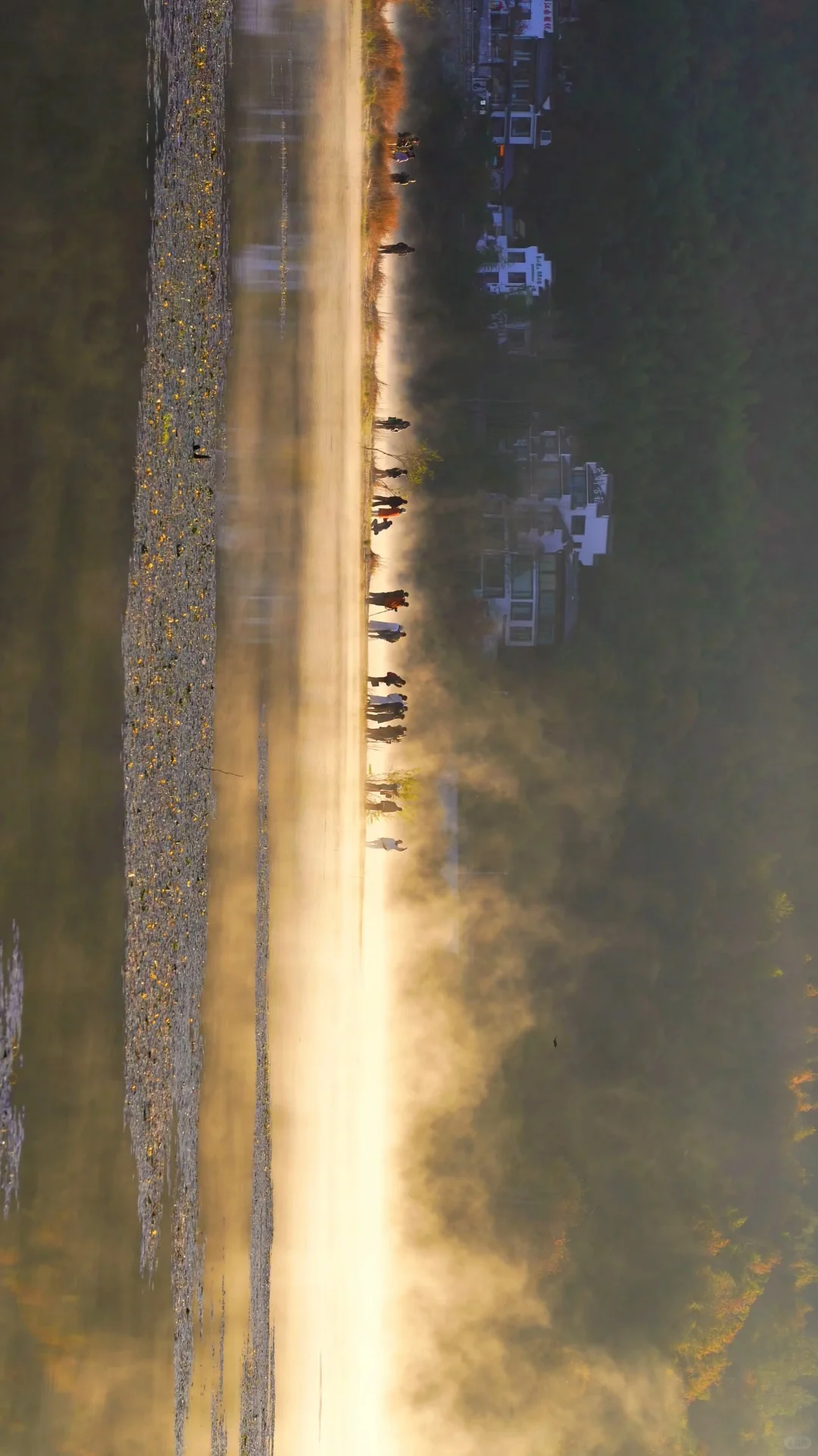 黄山之行｜感觉自己是天生的旅游圣体✨