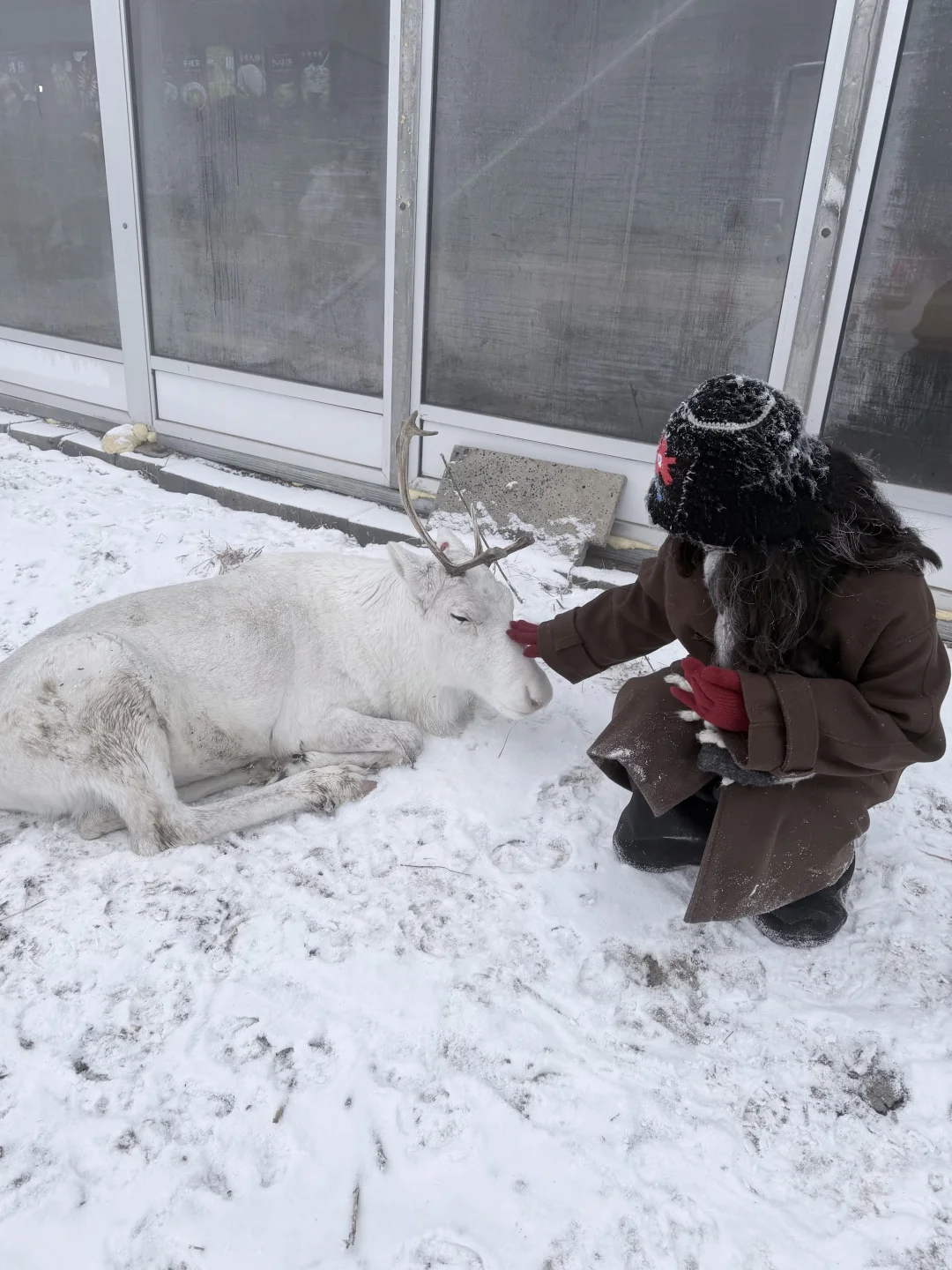 玩到舍不得离开的长白山之旅
