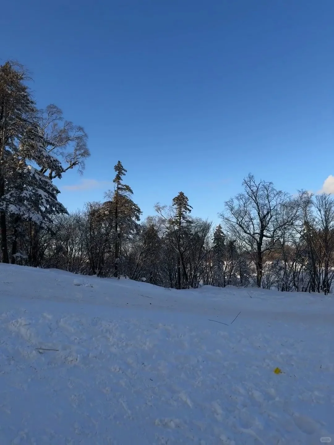 不是长白山去不起，而是伊春更有性价比