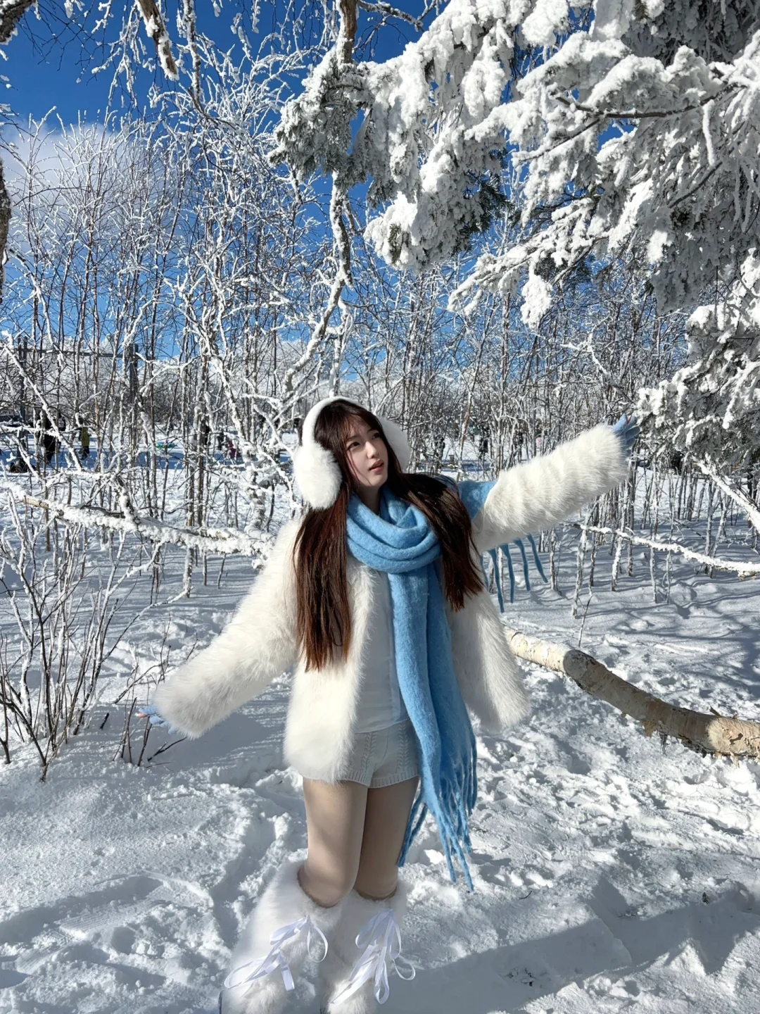 2.9📍雪岭驯鹿园 美晕❄️