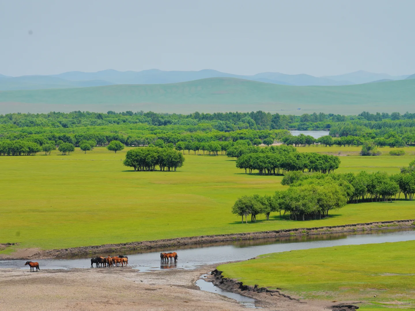 退休后的一次远行，到了梦中的草原