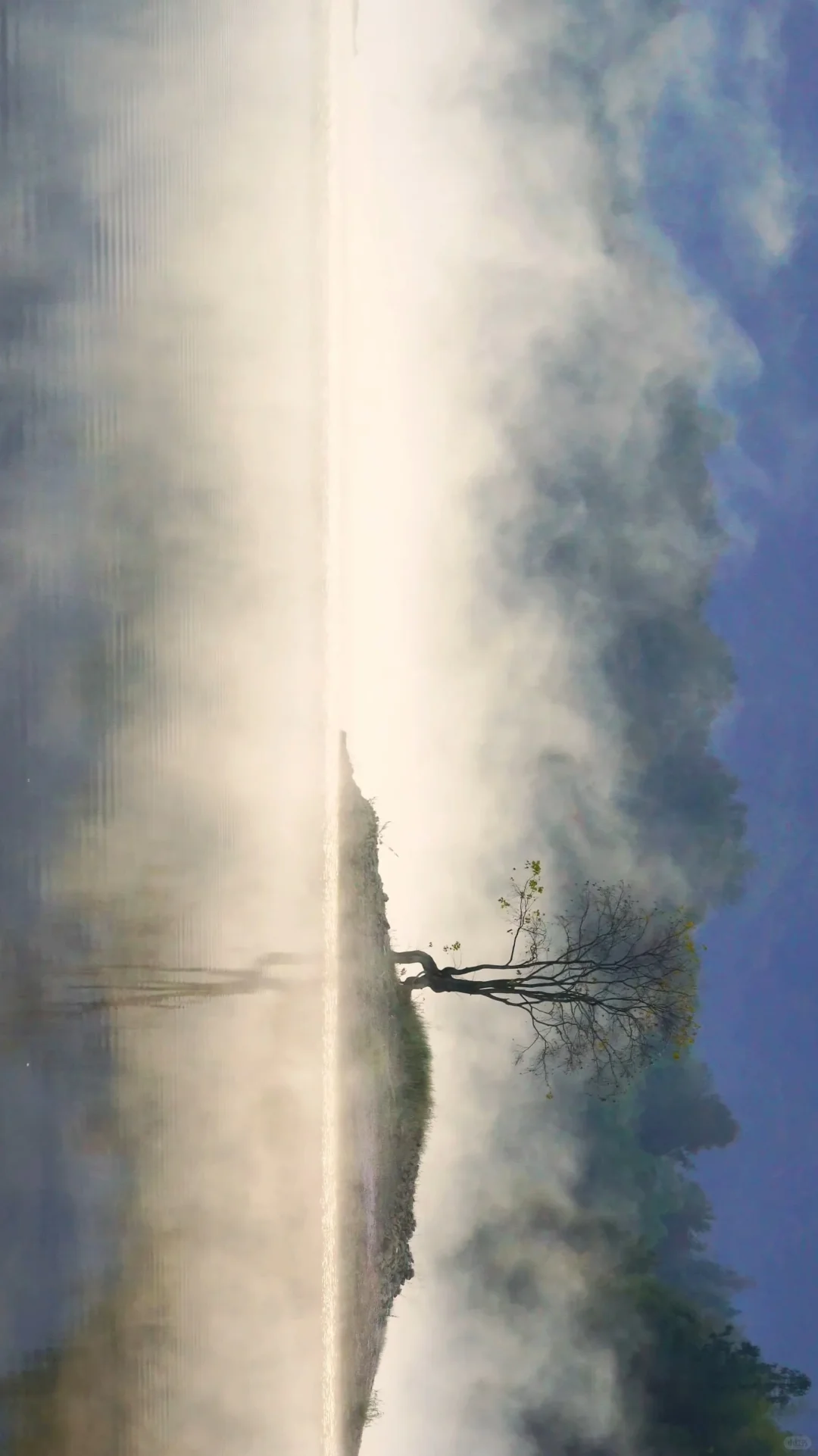 黄山之行｜感觉自己是天生的旅游圣体✨