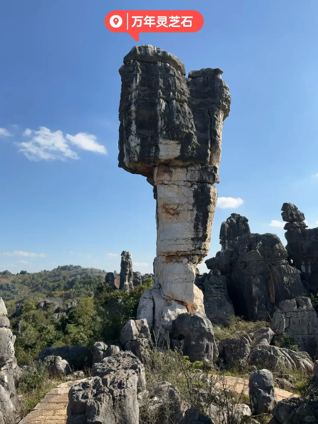 昆明|石林📍 钻进亿年石头缝里探险也太酷了
