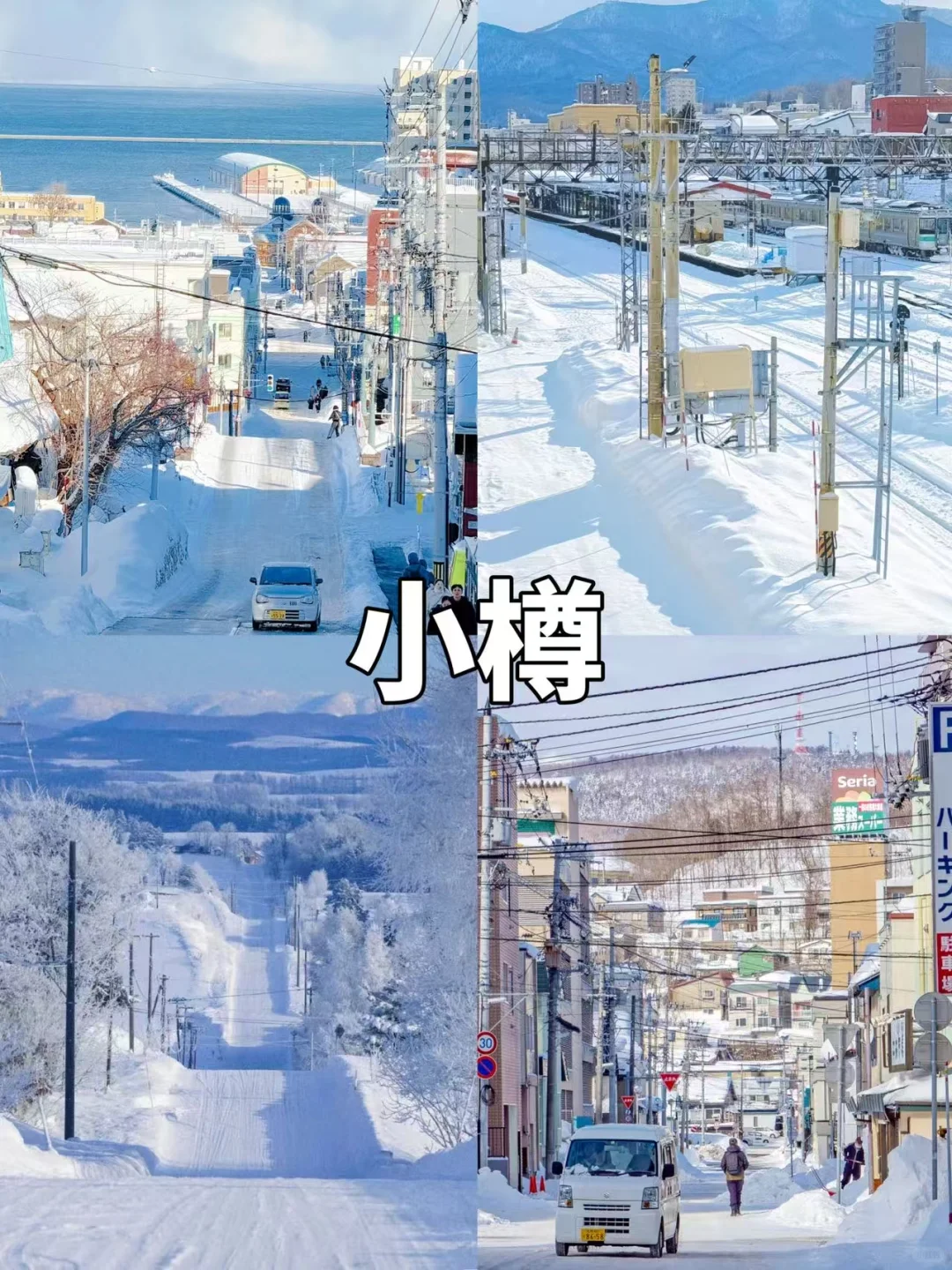 去北海道听劝!选择包车定制游又省心又省钱