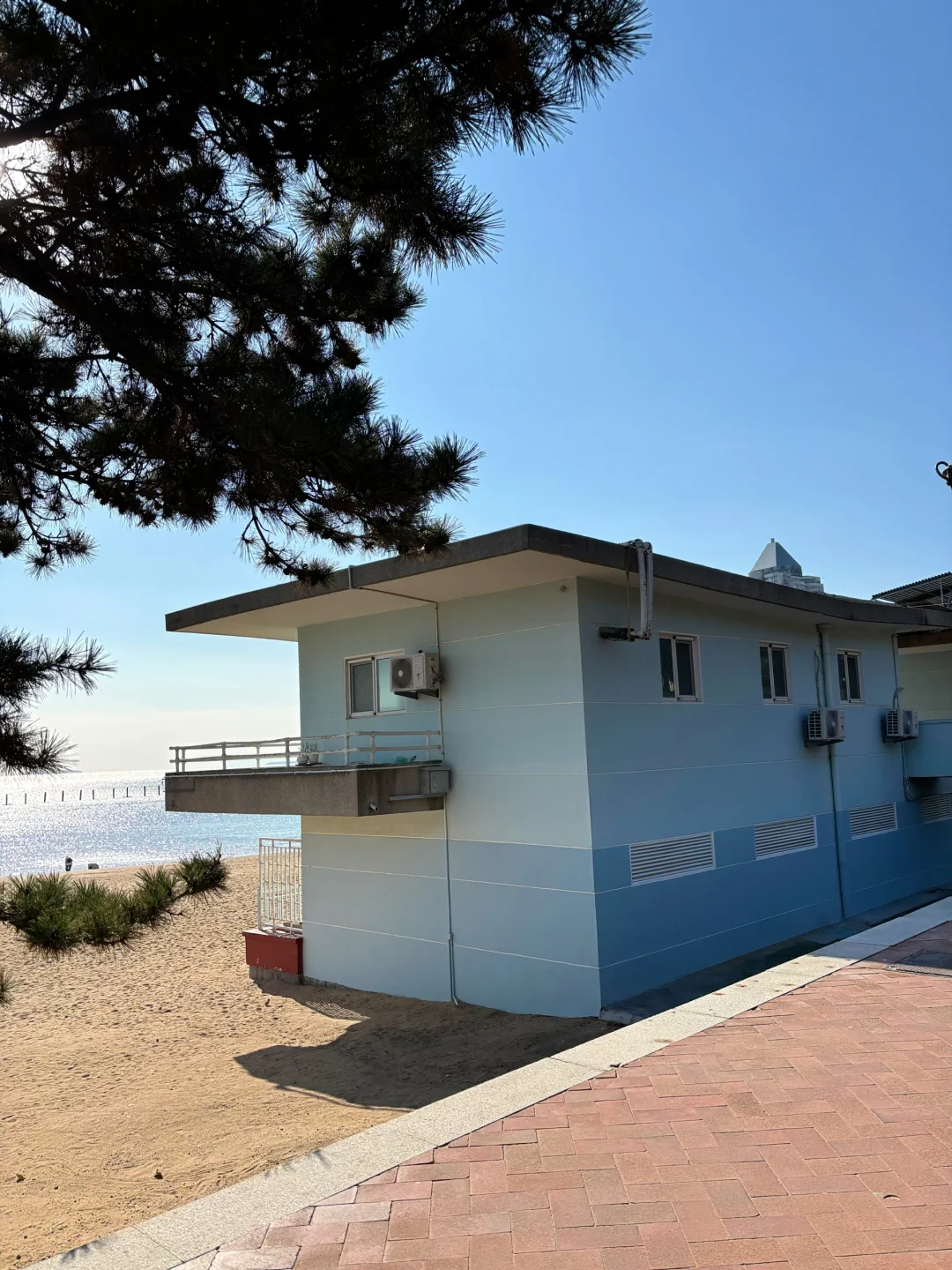 冬天一定要去一次青岛!(人均1.5k行程分享)