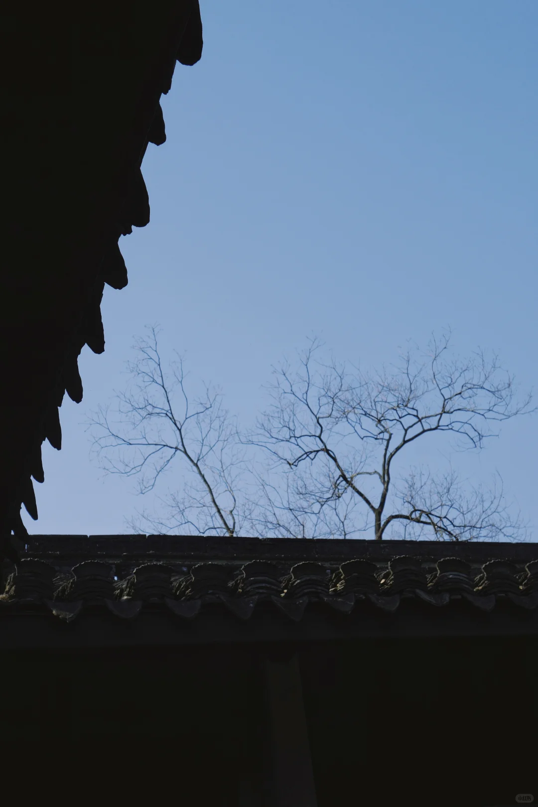 绍兴🍂一个人的冬天旅行