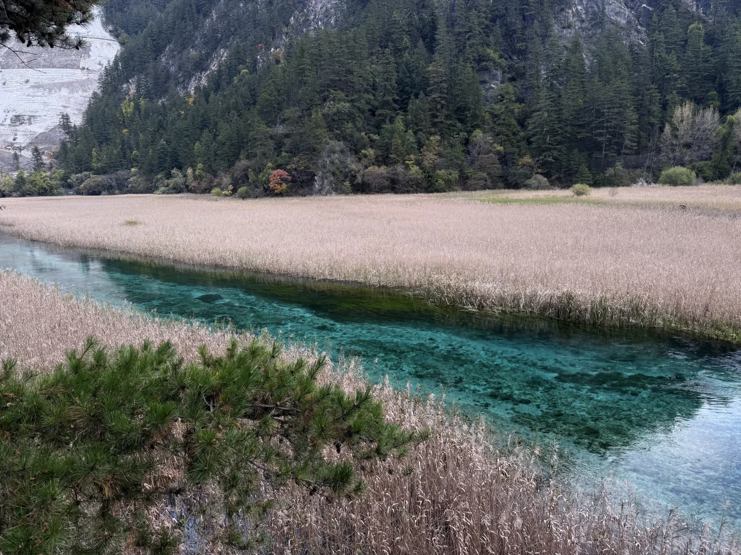 九寨沟特种兵旅游攻略