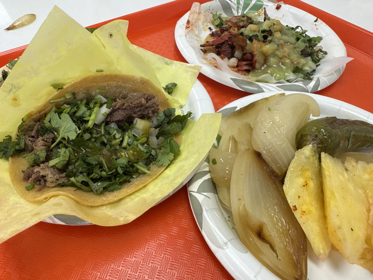 🇺🇸Las vegas｜留子一天暴走两万步记录 上