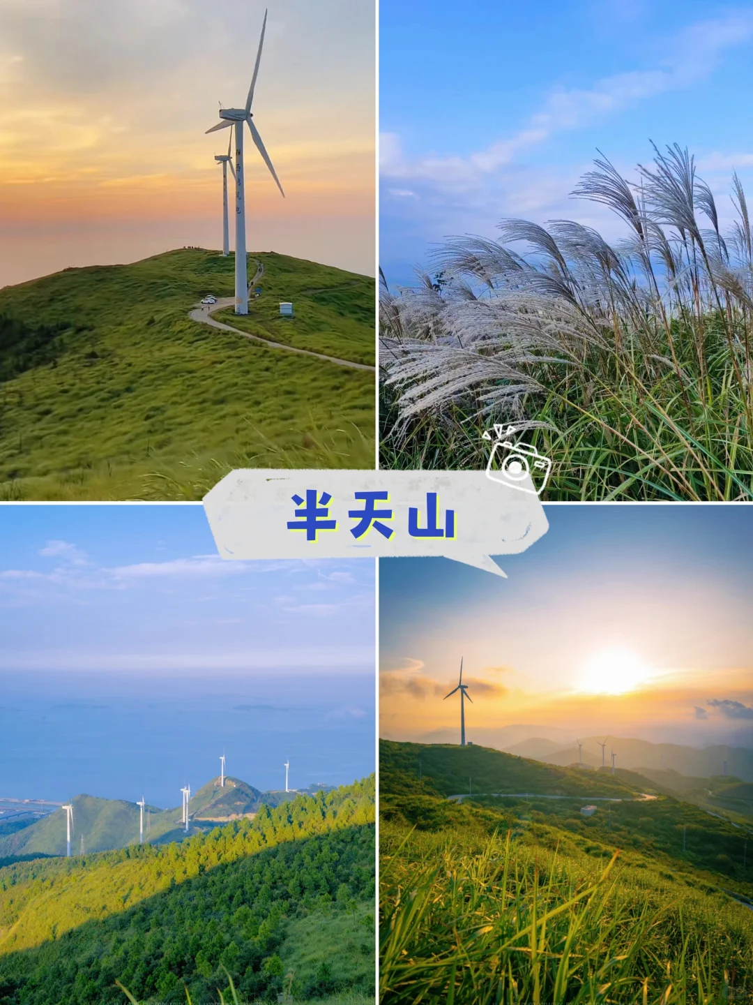 温州•平阳12月份必打卡的8个地方