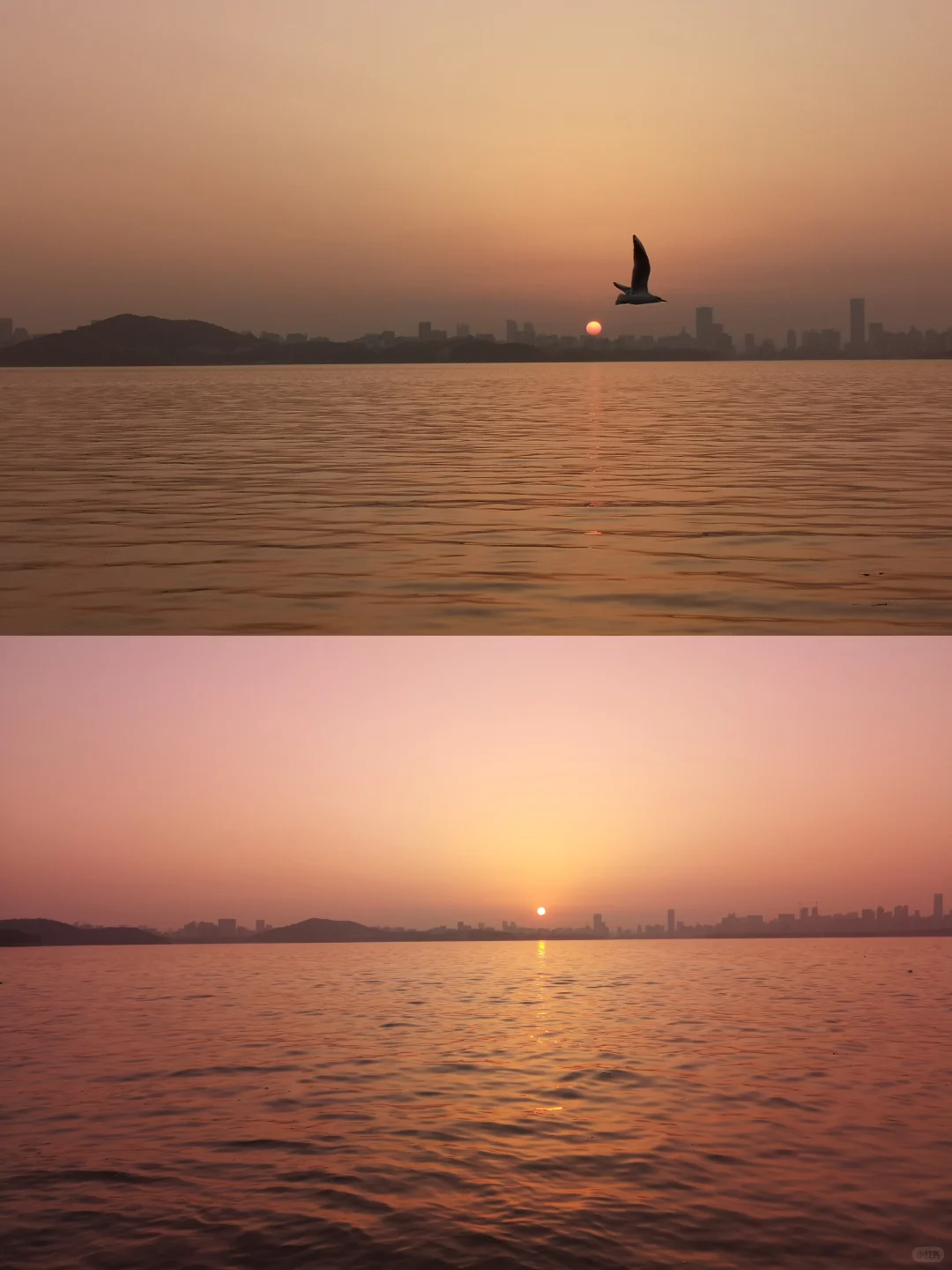 🚲东湖骑行｜超详细攻略❗️附路线