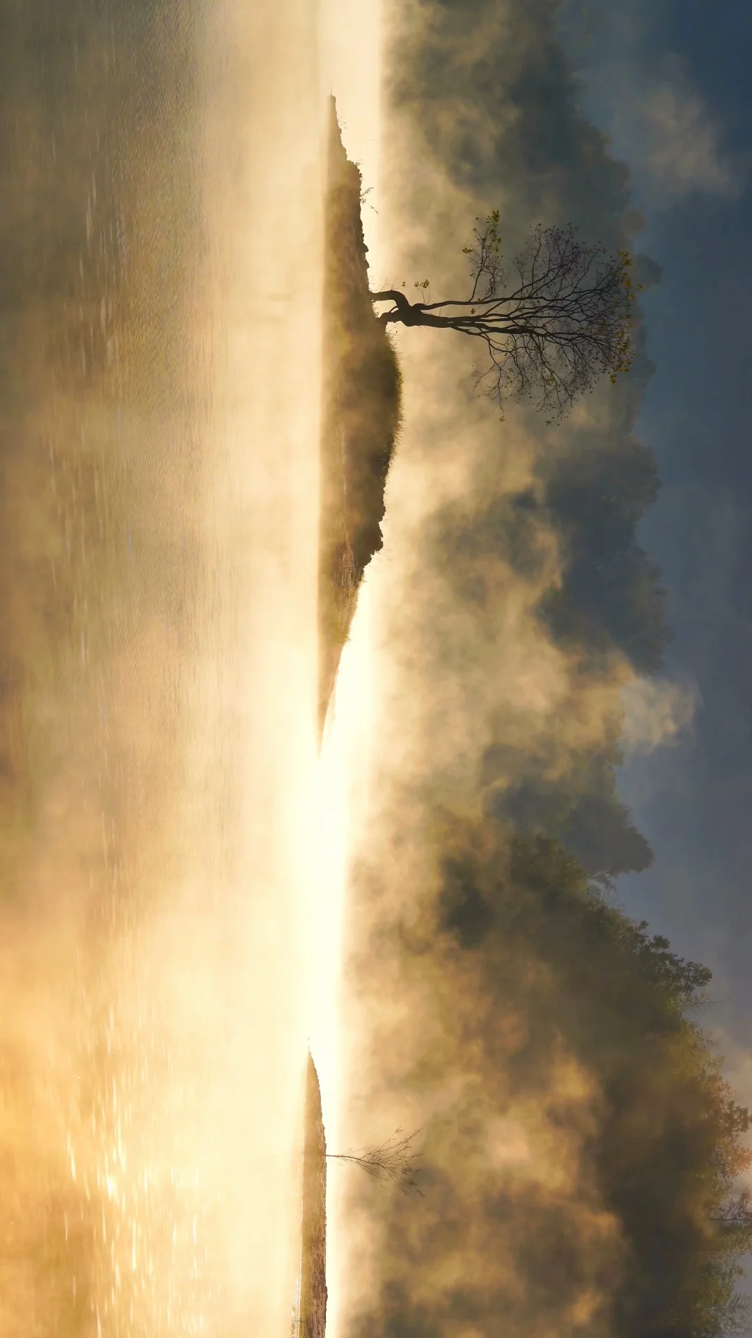 黄山之行｜感觉自己是天生的旅游圣体✨