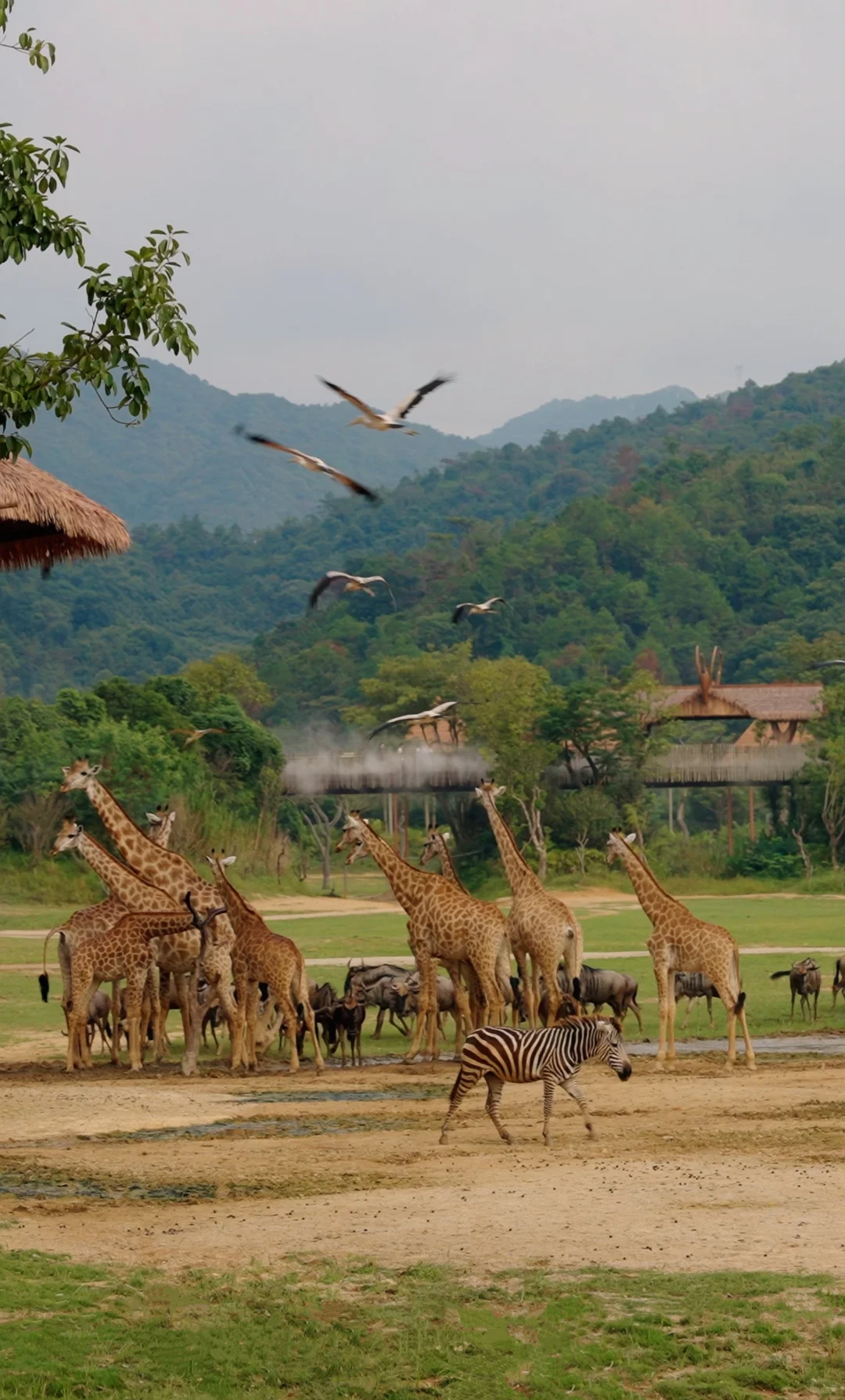 12月很适合去的旅行目的地推荐🌲