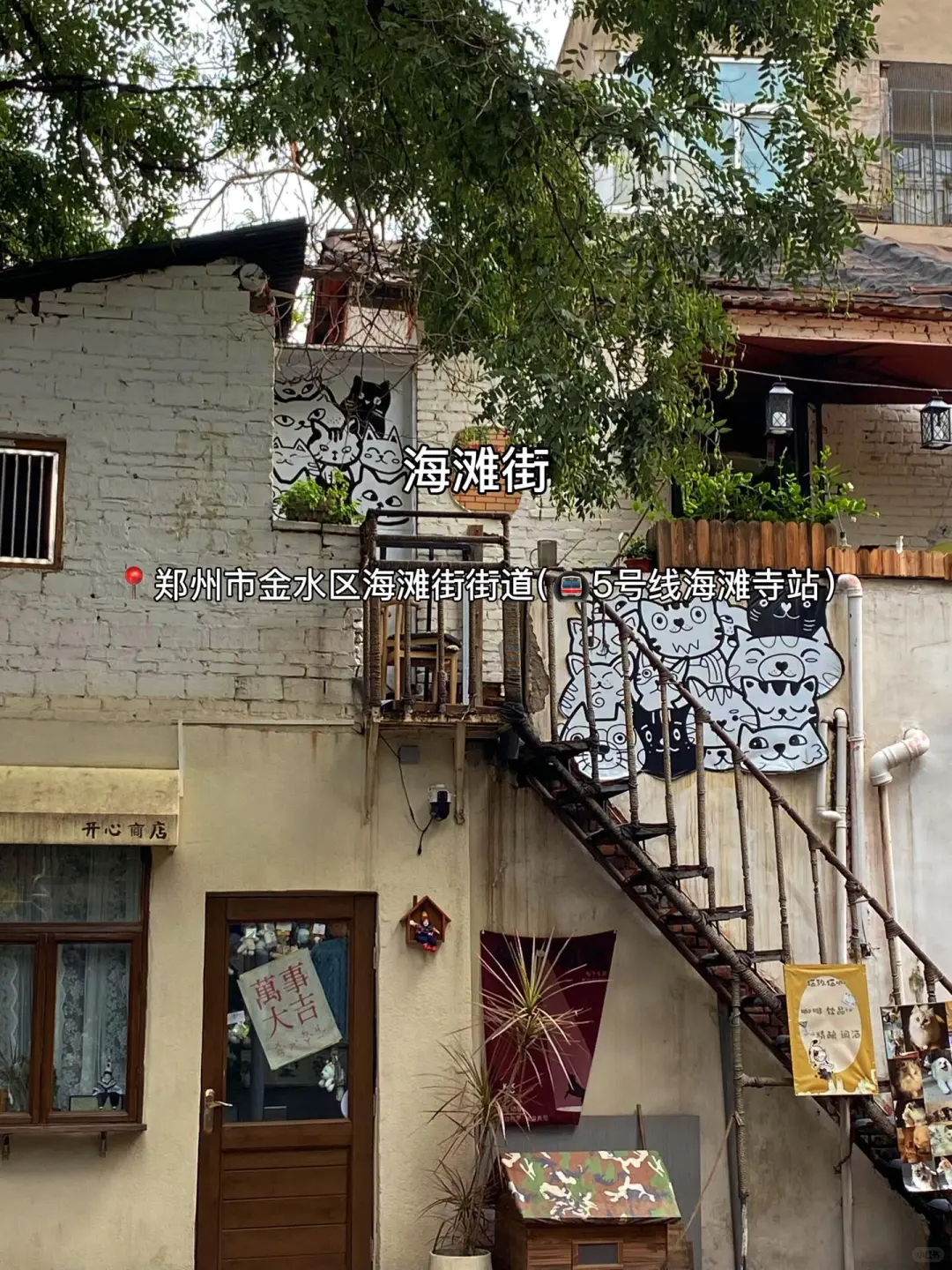 郑州避坑+必逛清单|本地人真话版