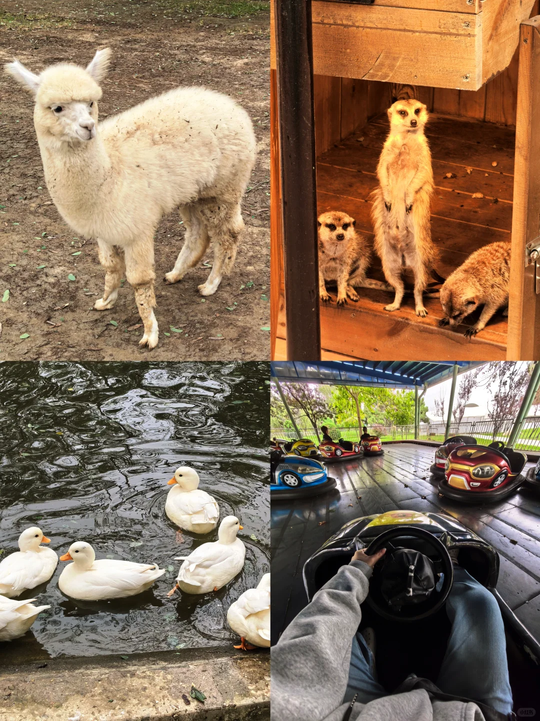 秦皇岛小众景点 哪些值得去(真•土著)