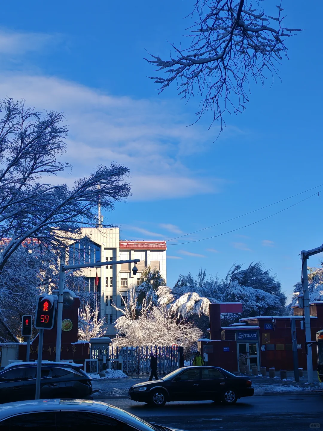 冬天适合去济南还是青岛或者威海