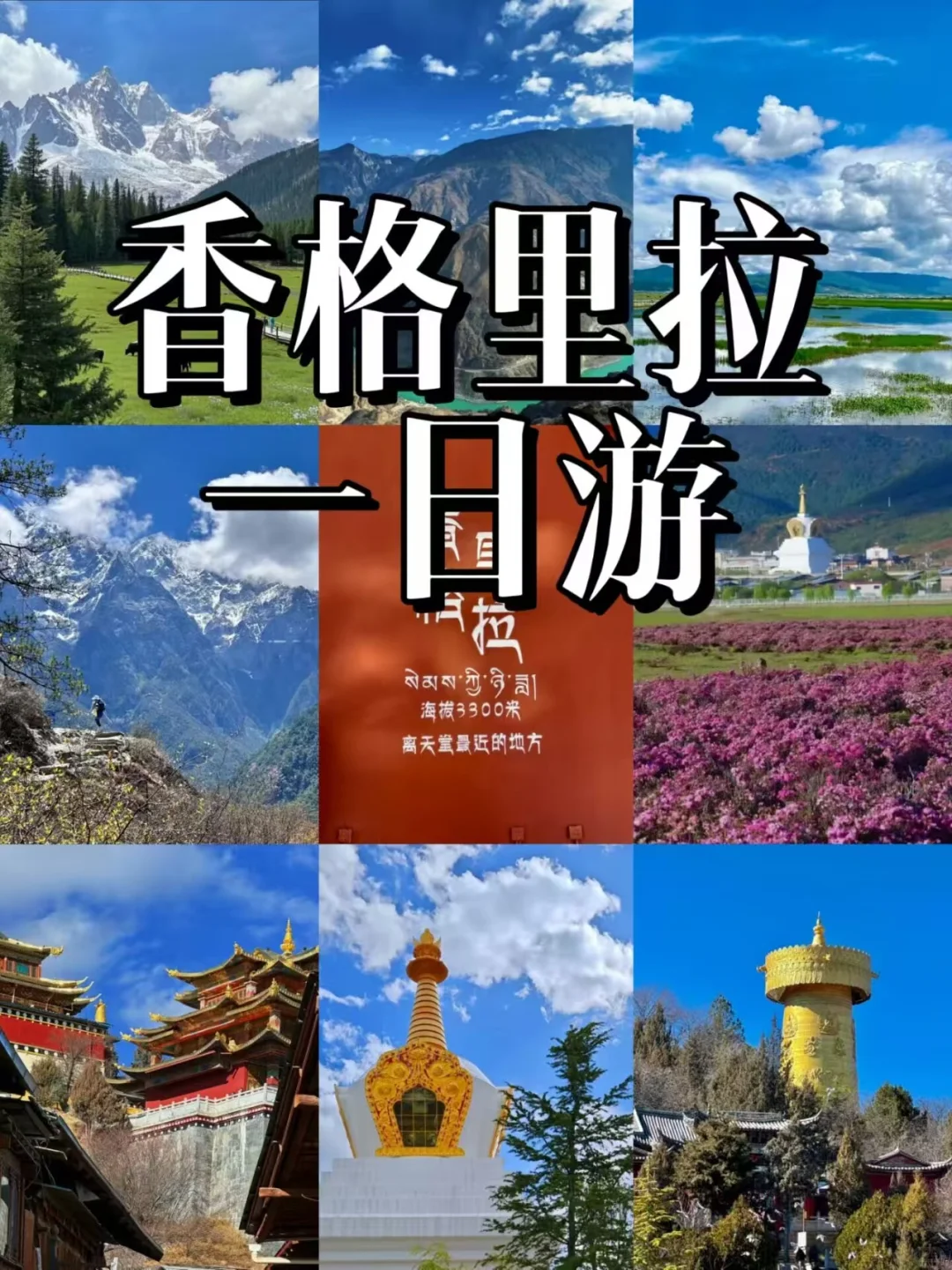 香格里拉精华一日游 一天打卡5大景点🔥