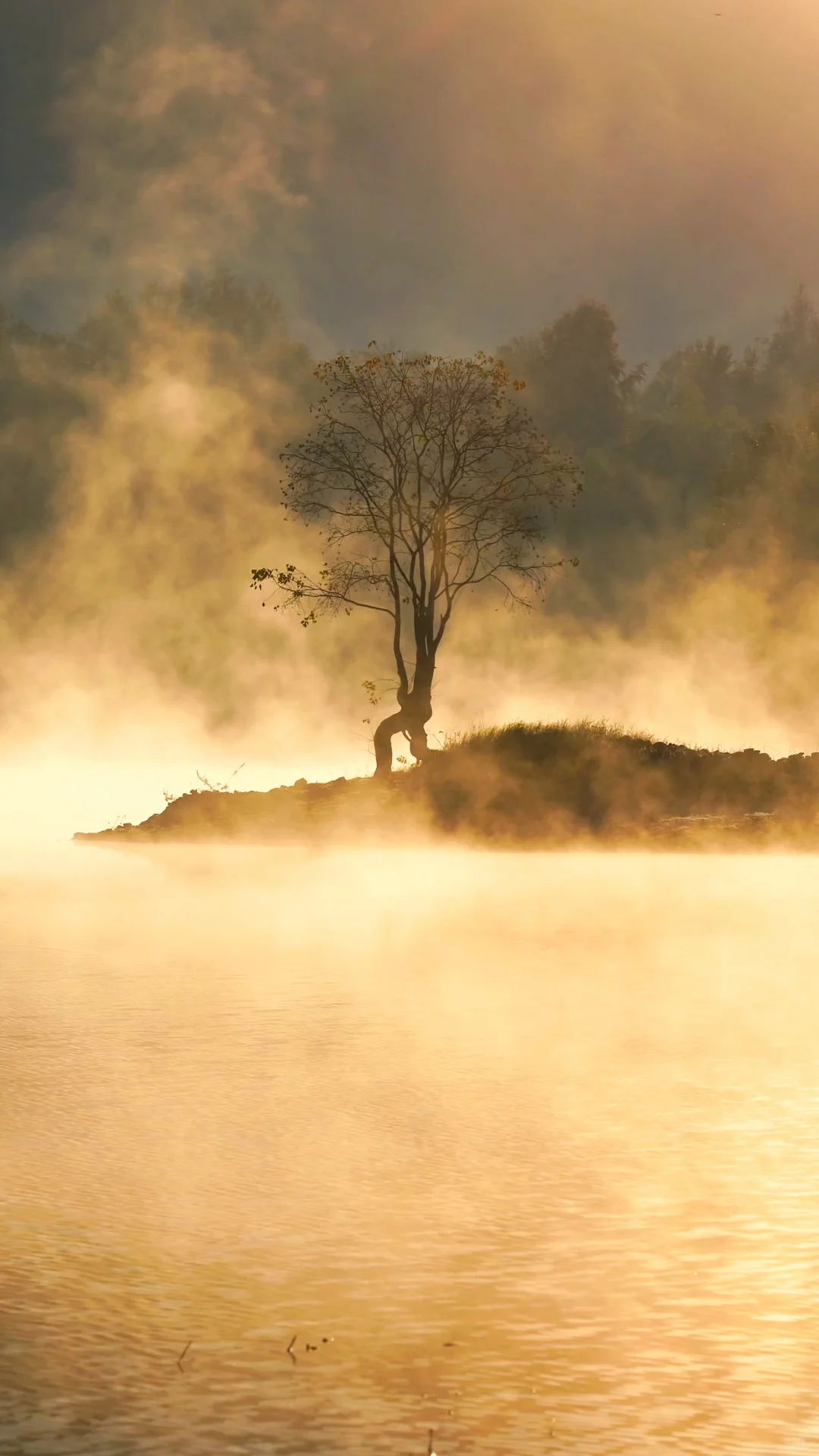 黄山之行｜感觉自己是天生的旅游圣体✨