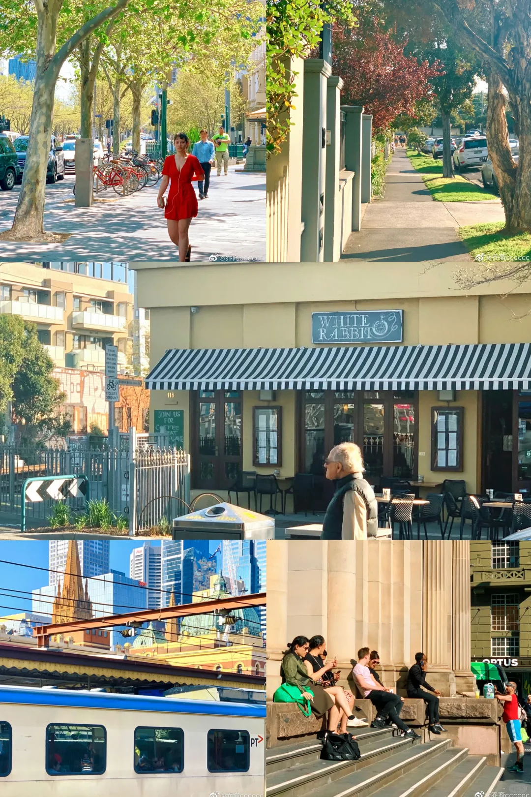 旅行体验最好的前三名国家(个人排序版)