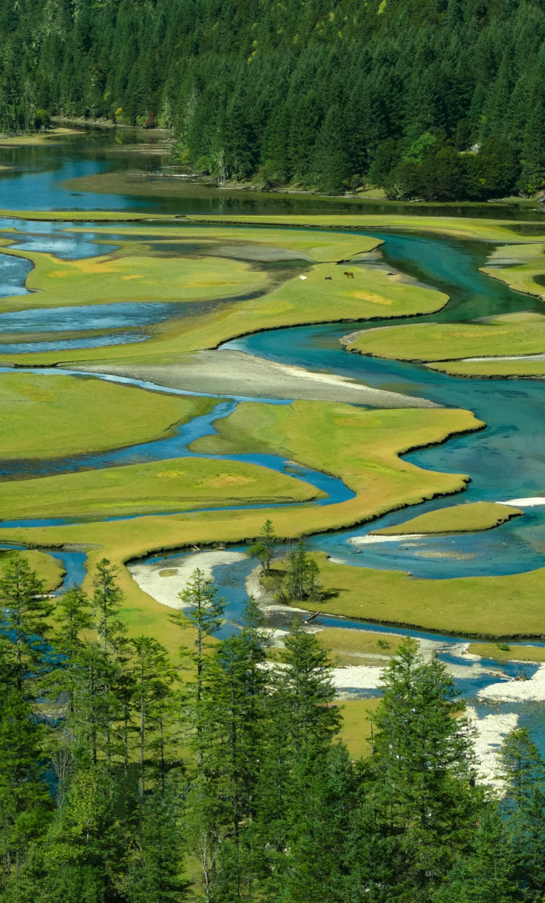 12月很适合去的旅行目的地推荐🌲