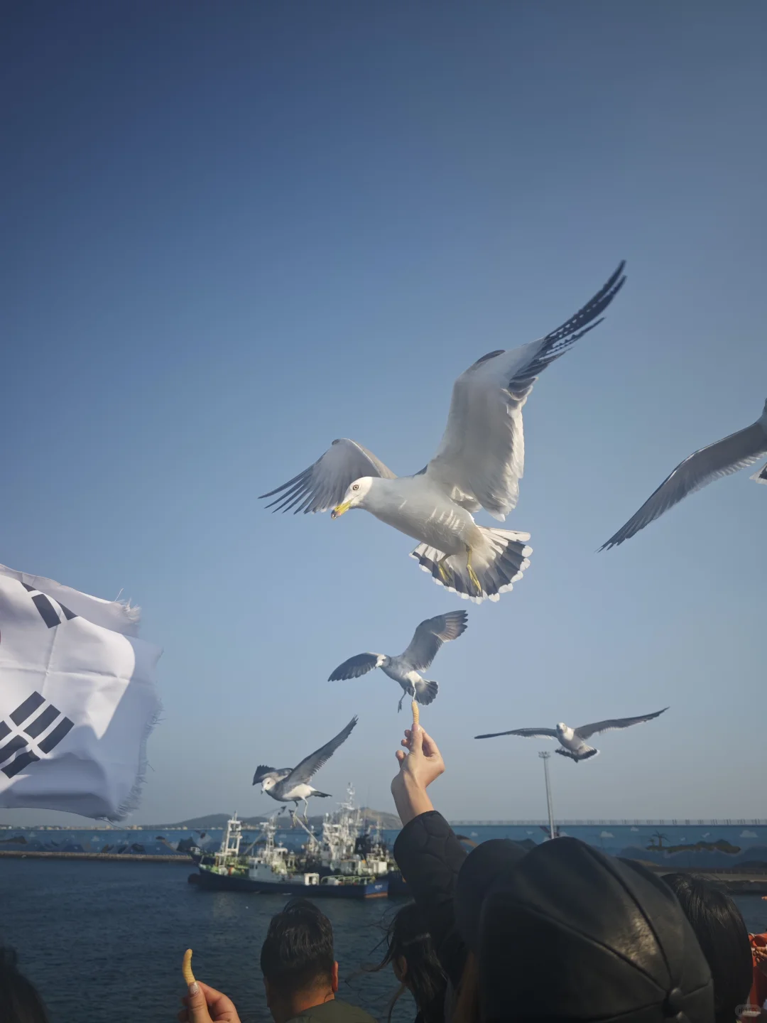 12月的济州岛你就冲吧，三天两晚人均2000