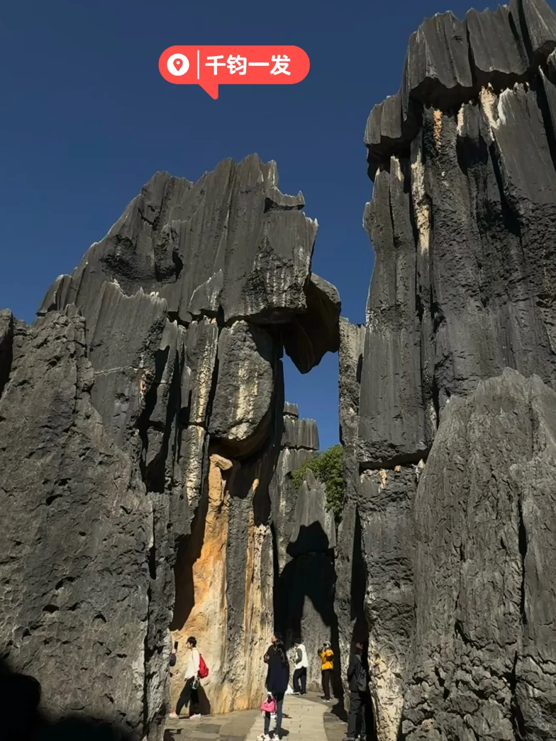昆明|石林📍 钻进亿年石头缝里探险也太酷了