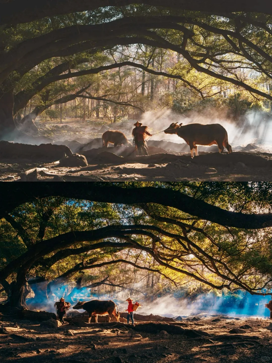 霞浦秋游｜11-12月淡季海岛才是治愈天花板❗️