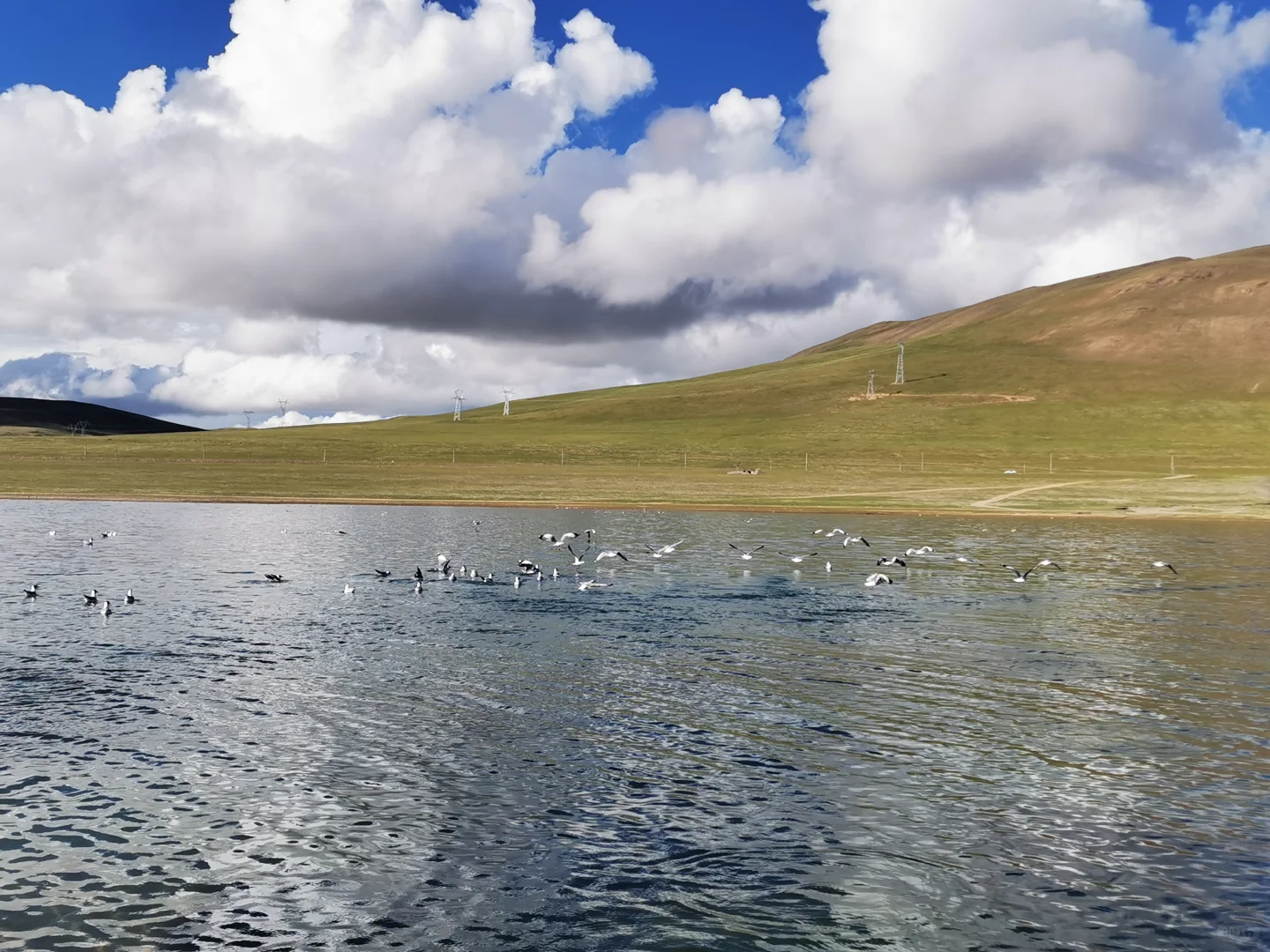 家人们去哪里旅游了！