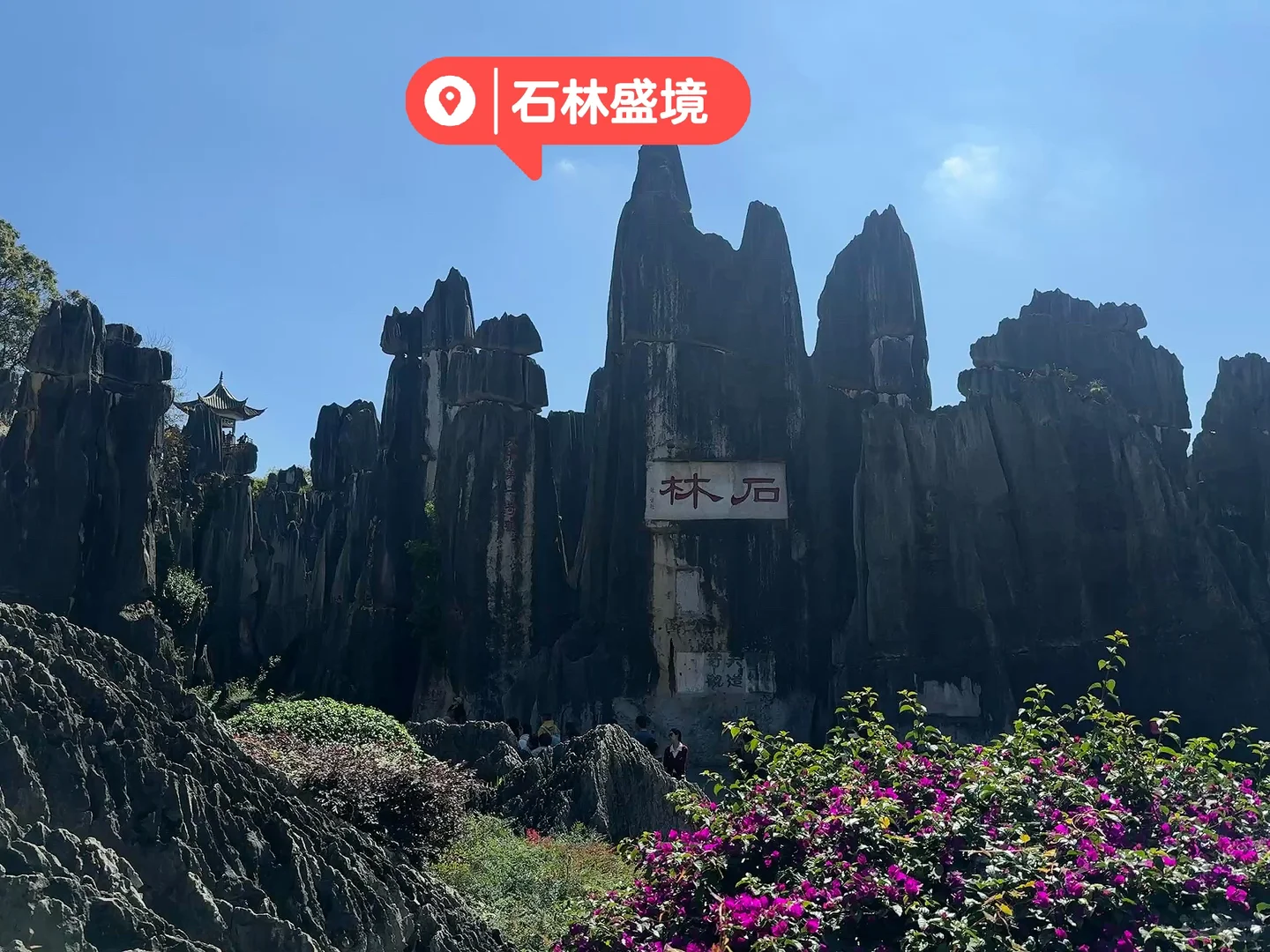 昆明|石林📍 钻进亿年石头缝里探险也太酷了