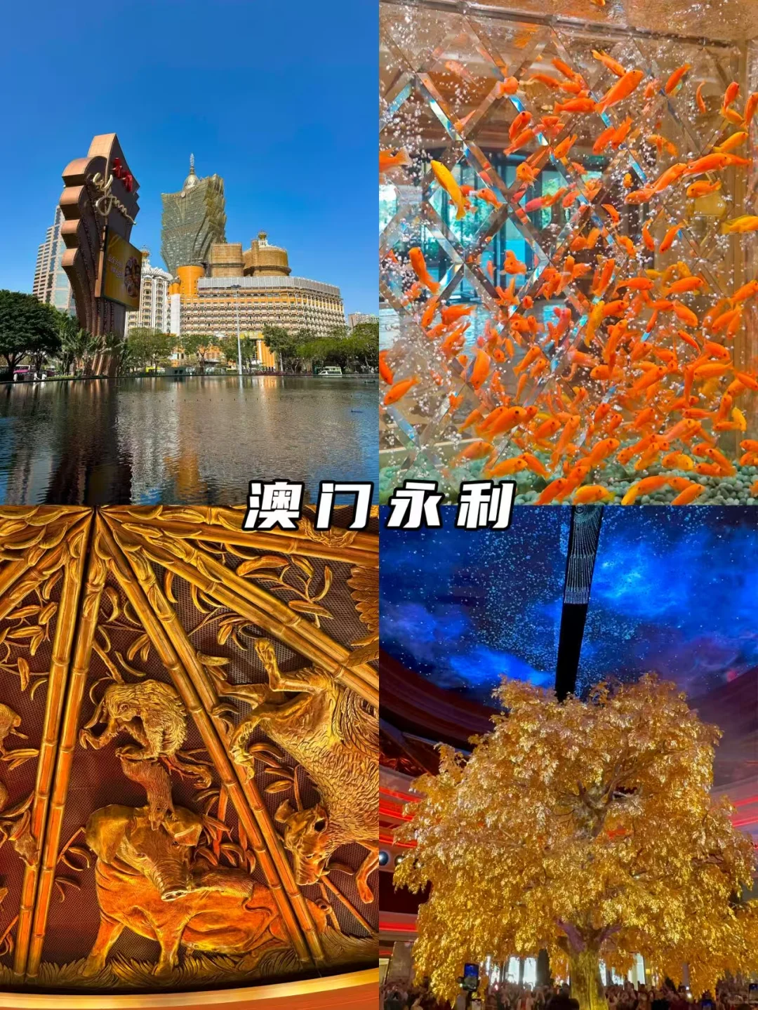 码住❗️澳门深度一日游超详细攻略