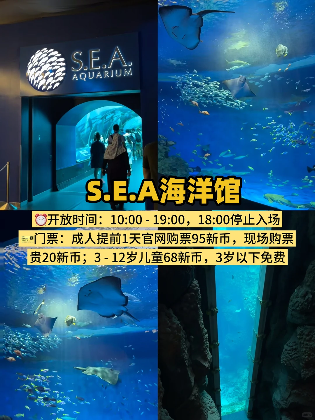 新加坡必打卡的9大热门景点｜赶紧🐎‼️